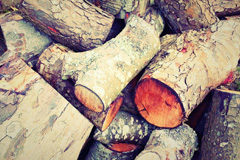 Doras Green wood burning boiler costs